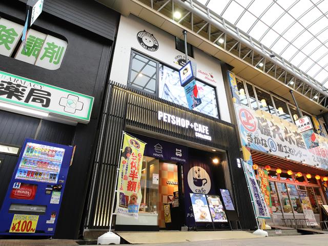 Coo&RIKU浅草店の店舗写真