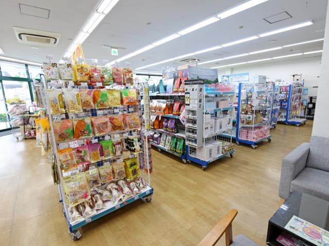 名古屋滝ノ水店のご案内 名古屋市緑区滝ノ水 ペットショップcoo Riku