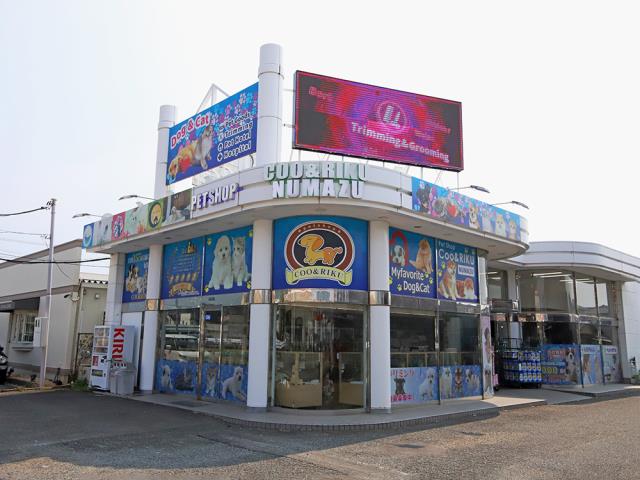 Coo&RIKU沼津店の店舗写真