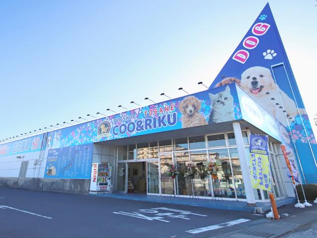 Coo&RIKU東金店の写真