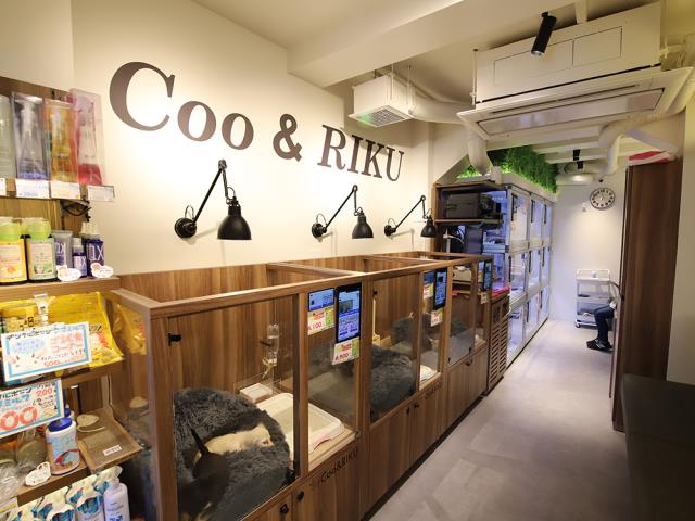 新宿東口駅前店のご案内 新宿区新宿 ペットショップcoo Riku