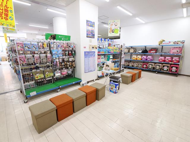 Megaドン キホーテ勝田店のご案内 ひたちなか市石川町 ペットショップcoo Riku