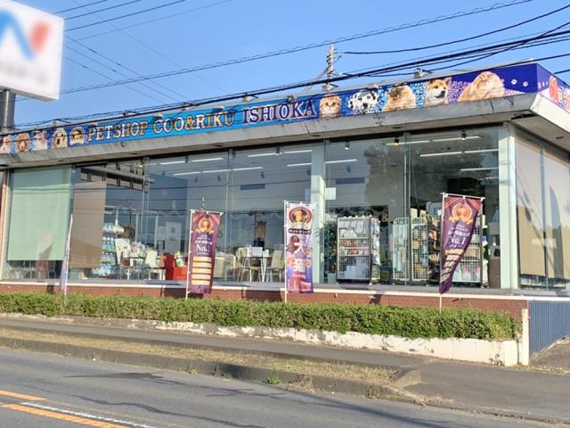 Coo&RIKU石岡店の店舗写真