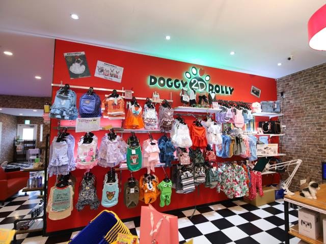 小田原店のご案内 小田原市成田 ペットショップcoo Riku