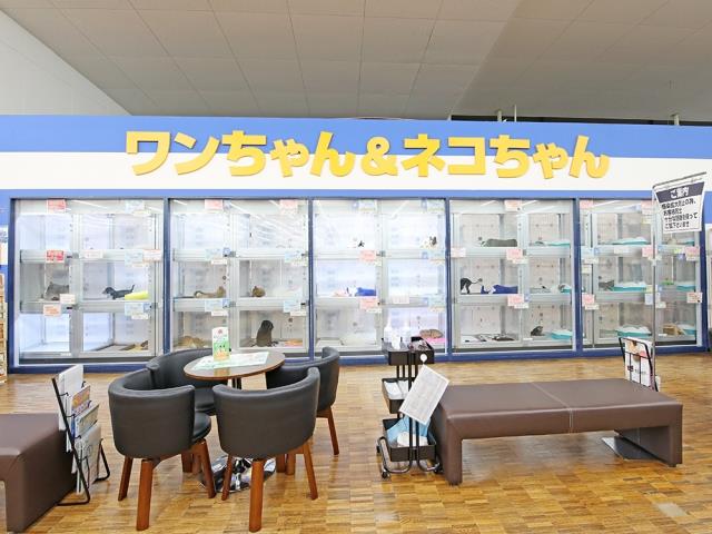 の店舗写真