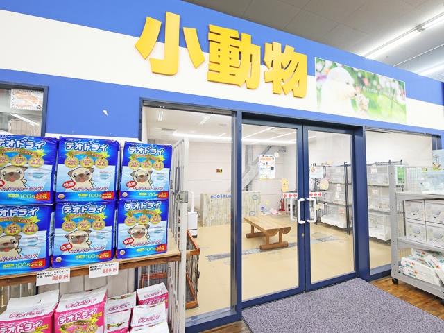 アヤハディオ水口店のご案内 甲賀市水口町水口 ペットショップcoo Riku