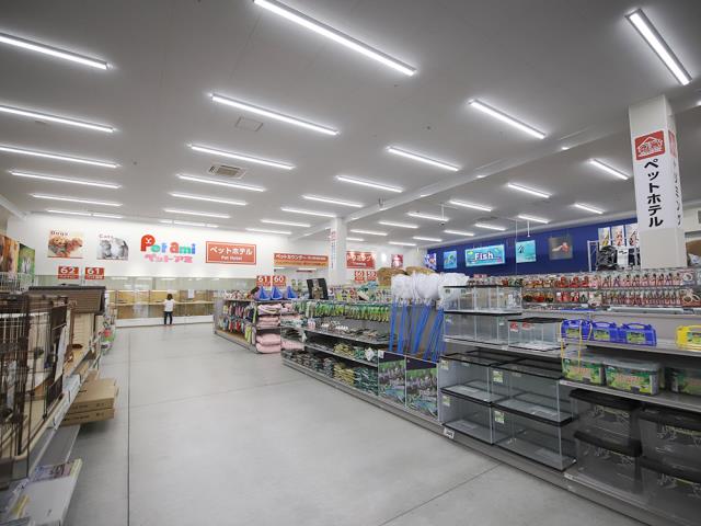 コメリパワーつくば西店のご案内 つくば市下河原崎 ペットショップcoo Riku