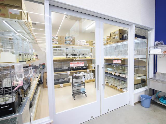 コメリパワーつくば西店のご案内 つくば市下河原崎 ペットショップcoo Riku