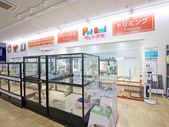 コメリパワー長野東部店のご案内 東御市祢津 ペットショップcoo Riku