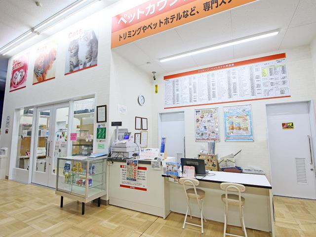 コメリパワー長野東部店のご案内 東御市祢津 ペットショップcoo Riku