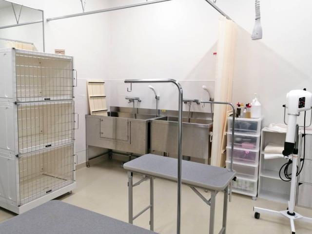 コメリパワー白山店のご案内 白山市横江町土地区画整理事業施工地内5街区 ペットショップcoo Riku コメリパワー白山店のご案内 白山市横江町土地区画整理事業施工地内5街区 ペットショップcoo Riku