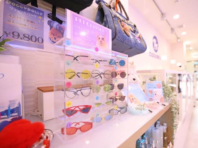 大宮店のご案内 さいたま市大宮区宮町 ペットショップcoo Riku 大宮店のご案内 さいたま市大宮区宮町 ペットショップcoo Riku