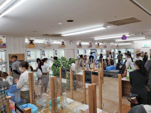 下関店のご案内  下関市綾羅木新町  ペットショップCoou0026RIKU