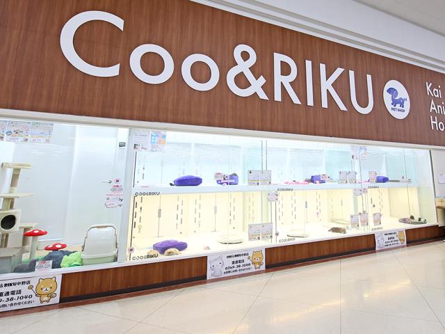 Coo&RIKU綿半中野店の店舗写真