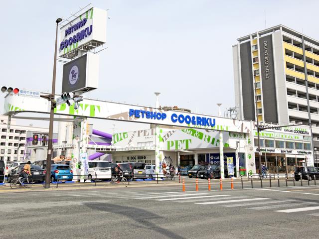 Coo&RIKU福岡東店の店舗写真