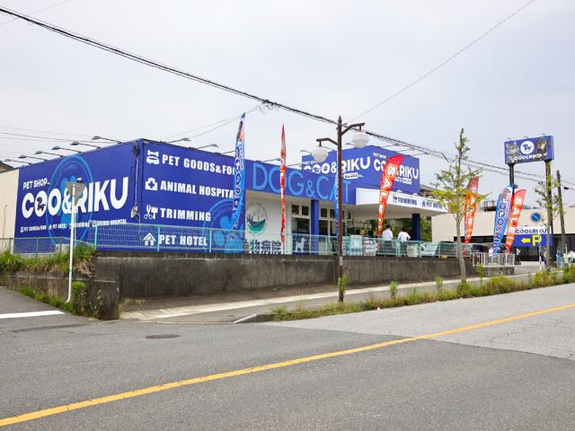 木更津店のご案内 木更津市清見台南 ペットショップcoo Riku