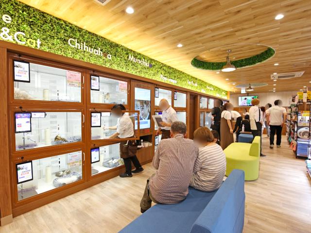 木更津店のご案内 木更津市清見台南 ペットショップcoo Riku