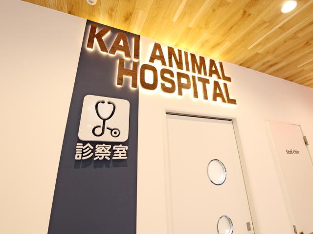 木更津店のご案内 木更津市清見台南 ペットショップcoo Riku