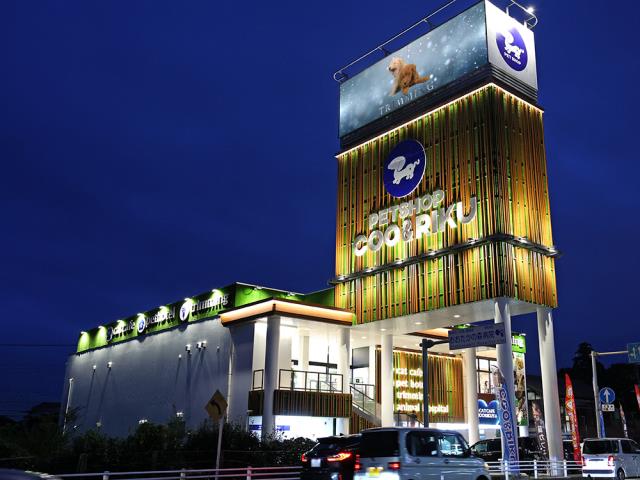 南柏店のご案内 柏市南柏 ペットショップcoo Riku