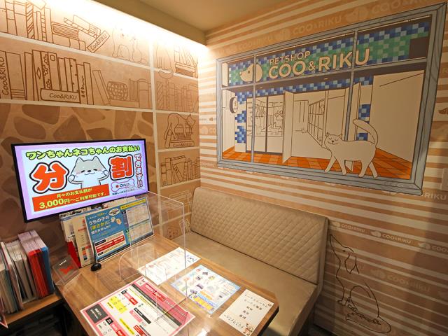 茶屋町店のご案内 大阪市北区茶屋町 ペットショップcoo Riku