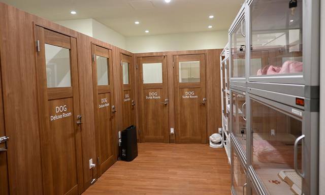 岡崎店のご案内 | 岡崎市井ノ口町字和田屋7 | ペットショップ