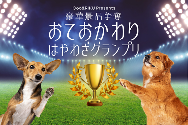 おておかわり はやわざグランプリ