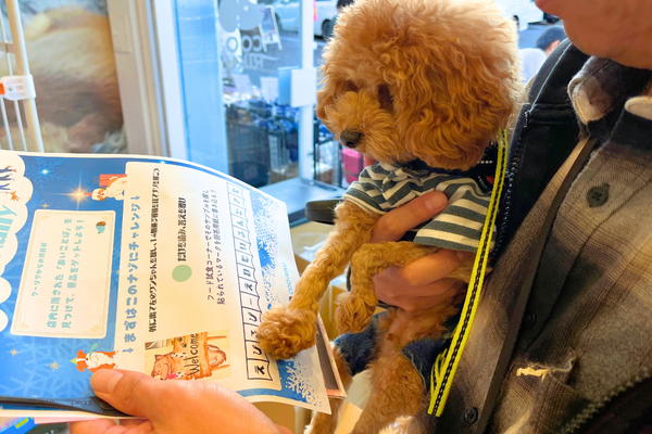 函館店周遊 謎解きツアー