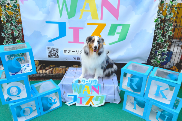 フォトブース