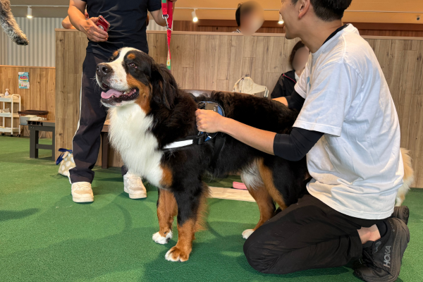 虫よけスプレー体験会の様子1