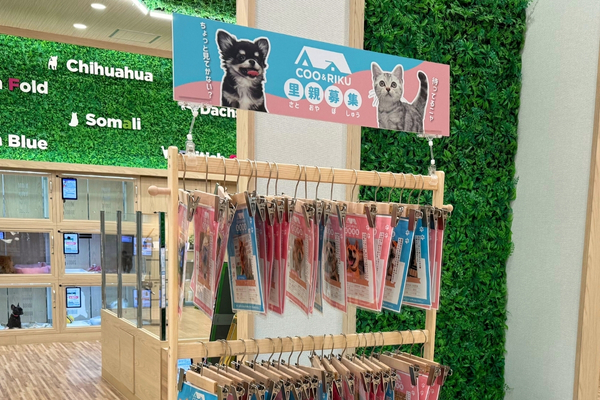 里親募集コーナー