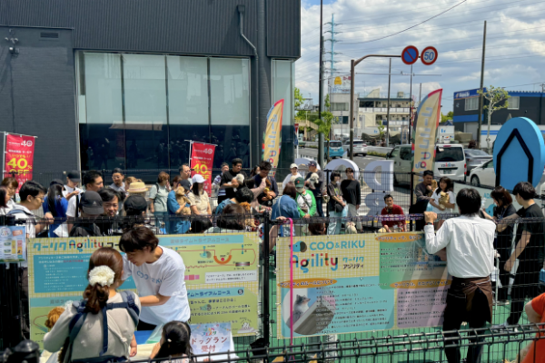 お楽しみ抽選会
