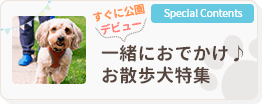 一緒におでかけ♪お散歩犬特集