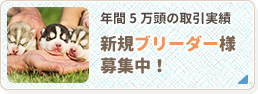 年間5万頭の取引実績 新規ブリーダー様募集中