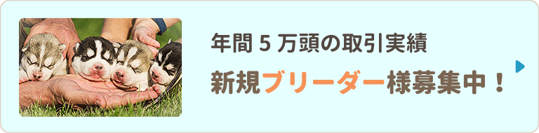 年間5万頭の取引実績新規ブリーダー様募集中！