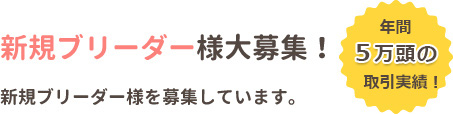 新規ブリーダー様募集！