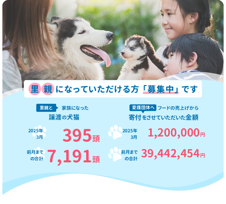 ショップ 福岡 ペット 売れ残り 価格が安い子犬を探す｜みんなのブリーダー