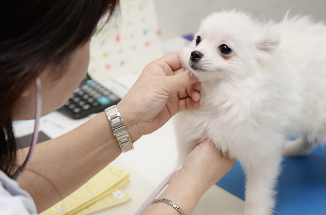 動物病院をはじめとした、豊富なペット関連施設を併設