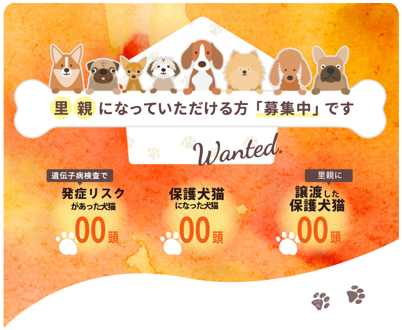 里親になっていただける方「募集中」です