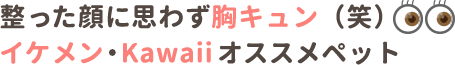 整った顔に思わず胸キュン（笑） イケメン・Kawaiiオススメペット