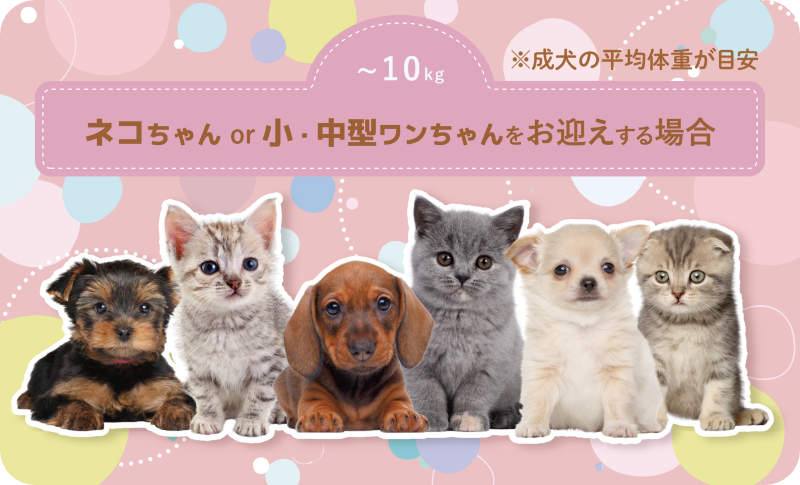 ネコちゃん・小型のワンちゃん イメージ1