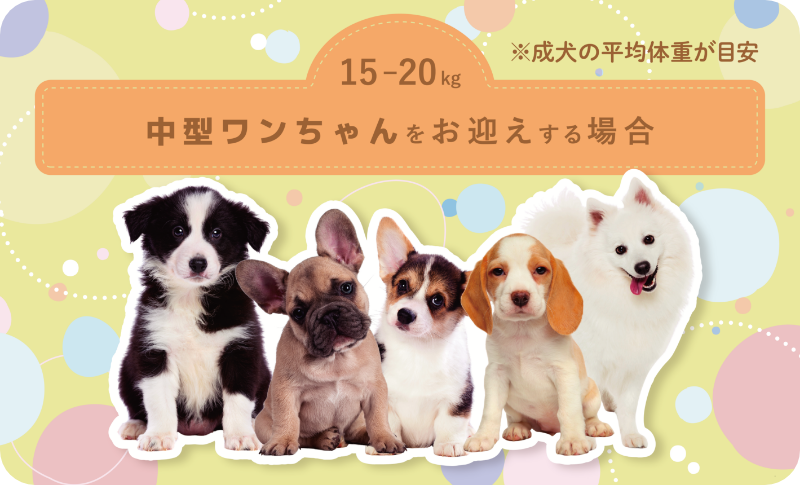 中型のワンちゃん イメージ1