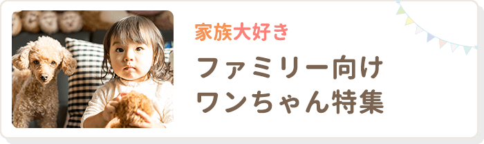 家族大好き ファミリー向けワンちゃん特集