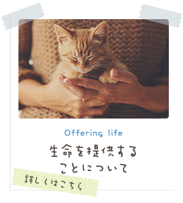 Offering life 生命を提供することについて