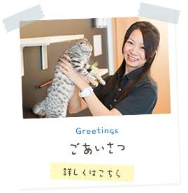 Greetings ごあいさつ