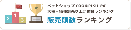 販売頭数ランキング