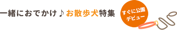 いっしょにおでかけ♪お散歩犬特集