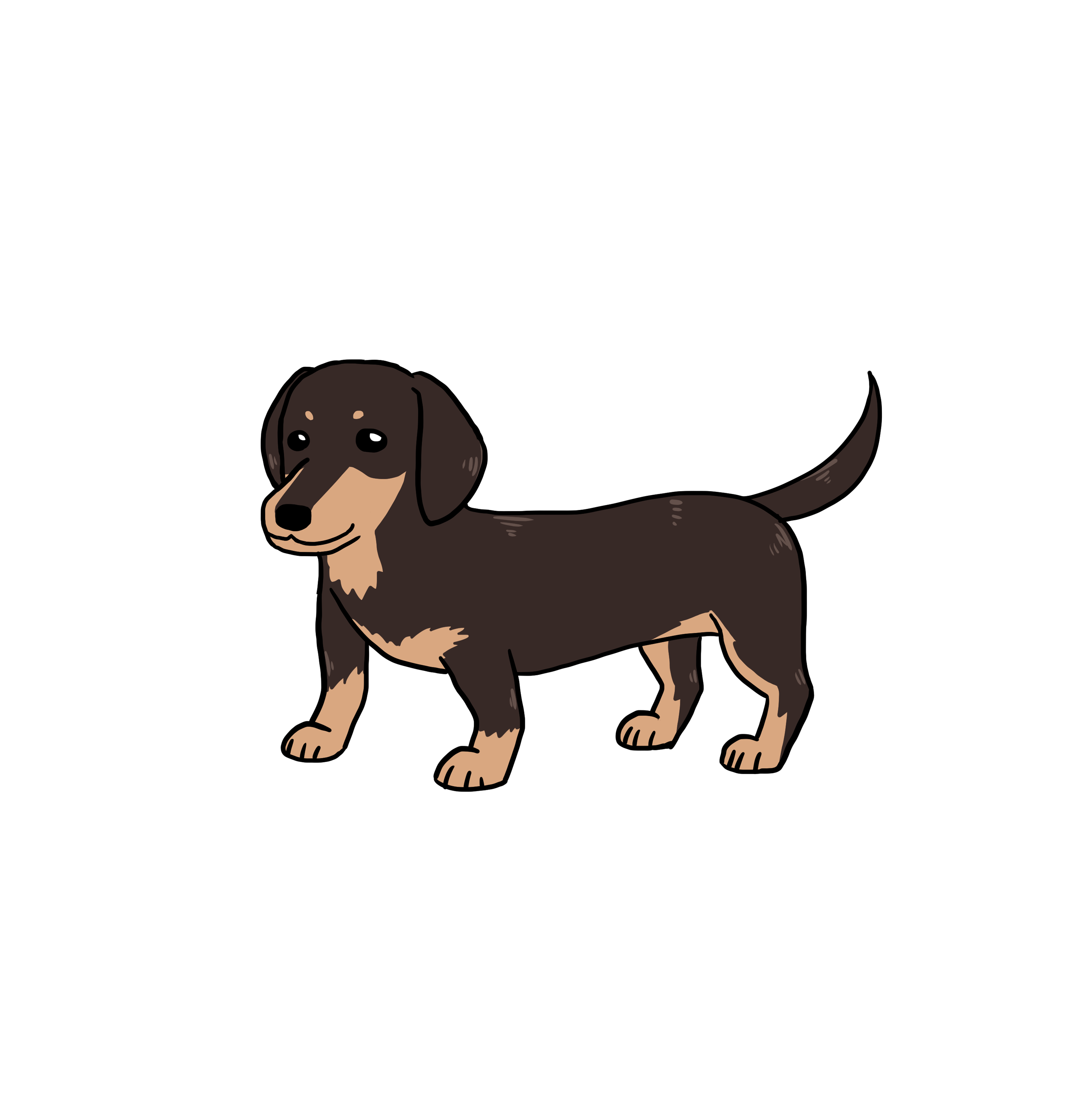 ペットショップcoo Riku ワンちゃん図鑑