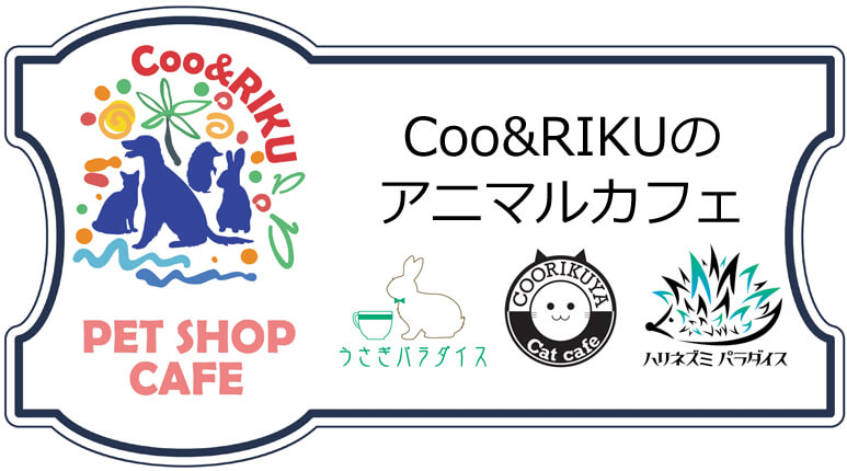 Coo Rikuのアニマルカフェ ネコ うさぎ ハリネズミ ペットショップcoo Riku