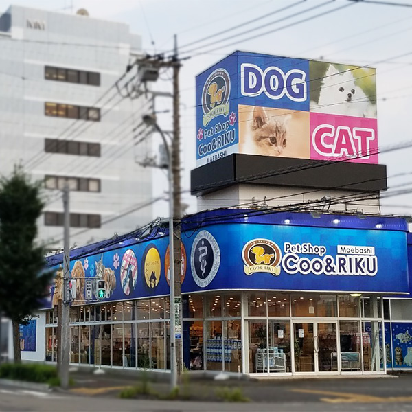 前橋店のご案内 前橋市元総社町 ペットショップcoo Riku