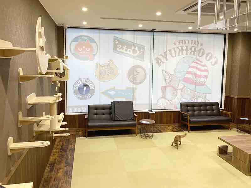 東船橋店のご案内 船橋市前原西 ペットショップcoo Riku 東船橋店のご案内 船橋市前原西 ペットショップcoo Riku